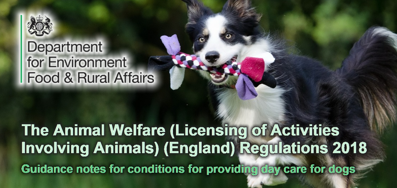 The Animal Welfare (Licensing of Activities Involving Animals) (England) Regulations 2018 Guidance notes for conditions for providing day care for dogs