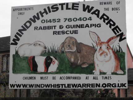 do runt puppies stay small hoppy holidays small pet boarding in alcester warwickshire do runt puppies stay small hoppy holidays small pet boarding in alcester warwickshire