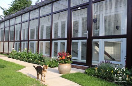 Dog Kennels Woodbridge Suffolk Dog Kennels Woodbridge Suffolk