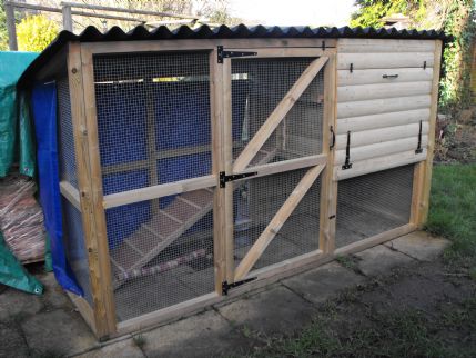do runt puppies stay small hoppy holidays rabbit boarding in alcester warwickshire do runt puppies stay small hoppy holidays rabbit boarding in alcester warwickshire