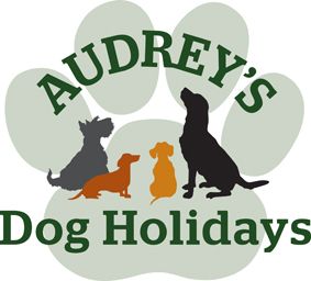 Home From Home Dog Boarding Banchory Home From Home Dog Boarding Banchory