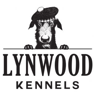 Dog Kennels In Neath Port Talbot Dog Kennels In Neath Port Talbot