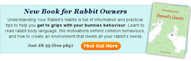 New Book for Rabbit Owners - Understanding Your Rabbit's Habits - Find Out More