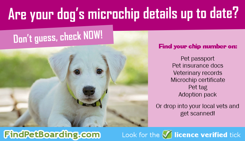 Are your dog's microchip details up to date? Don't guess, check now!