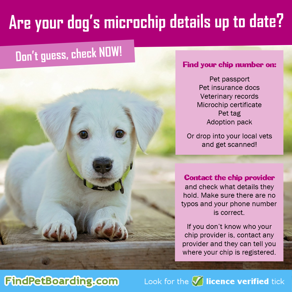 Anibase dog best sale chip