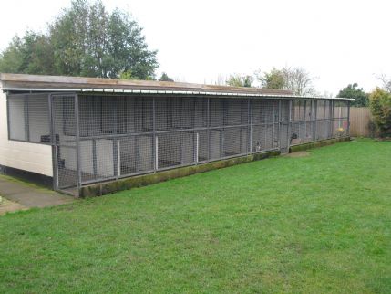 Wortham kennels sales