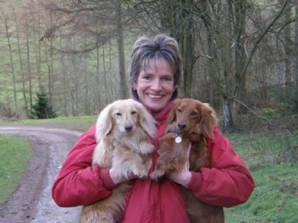 Creature Comforts Home Boarding Home Boarding In Denbigh