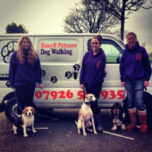 Busy b shop pet care