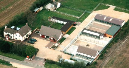 lamb & rice dog food