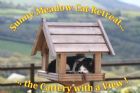 Sunny Meadow Cat Retreat and Small Pet Boarding