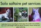 Solo Saltaire Pet Services