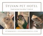 Sylvan Small Animal Pet Hotel