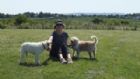 View All Dog Boarding Kennels In Gloucestershire