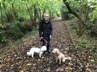 View All Dog Boarding Kennels In West Sussex