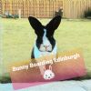 Bunny Boarding Edinburgh