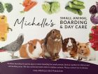 Michelle’s Small Animal Boarding & Day Care